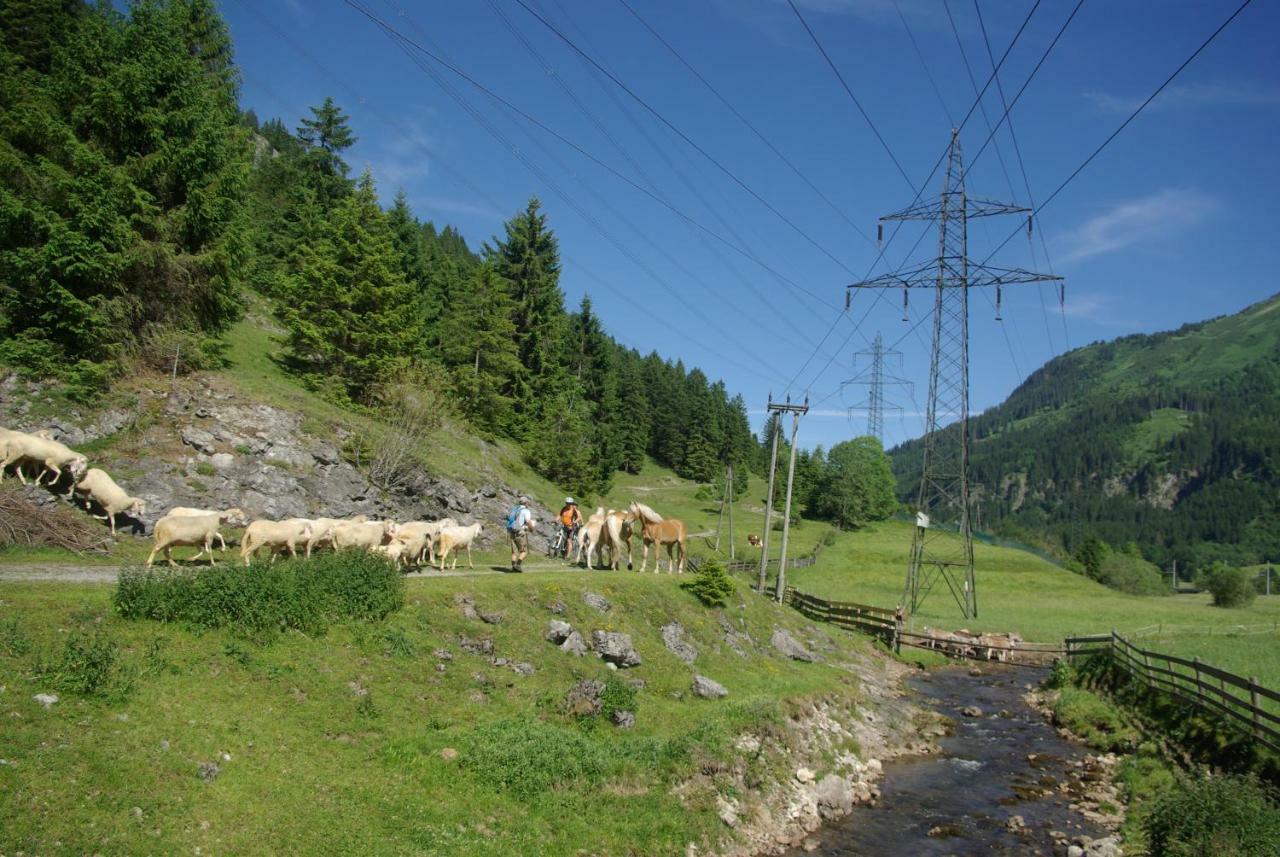Haus Kohlberghof Hotel Bichlbach Kültér fotó