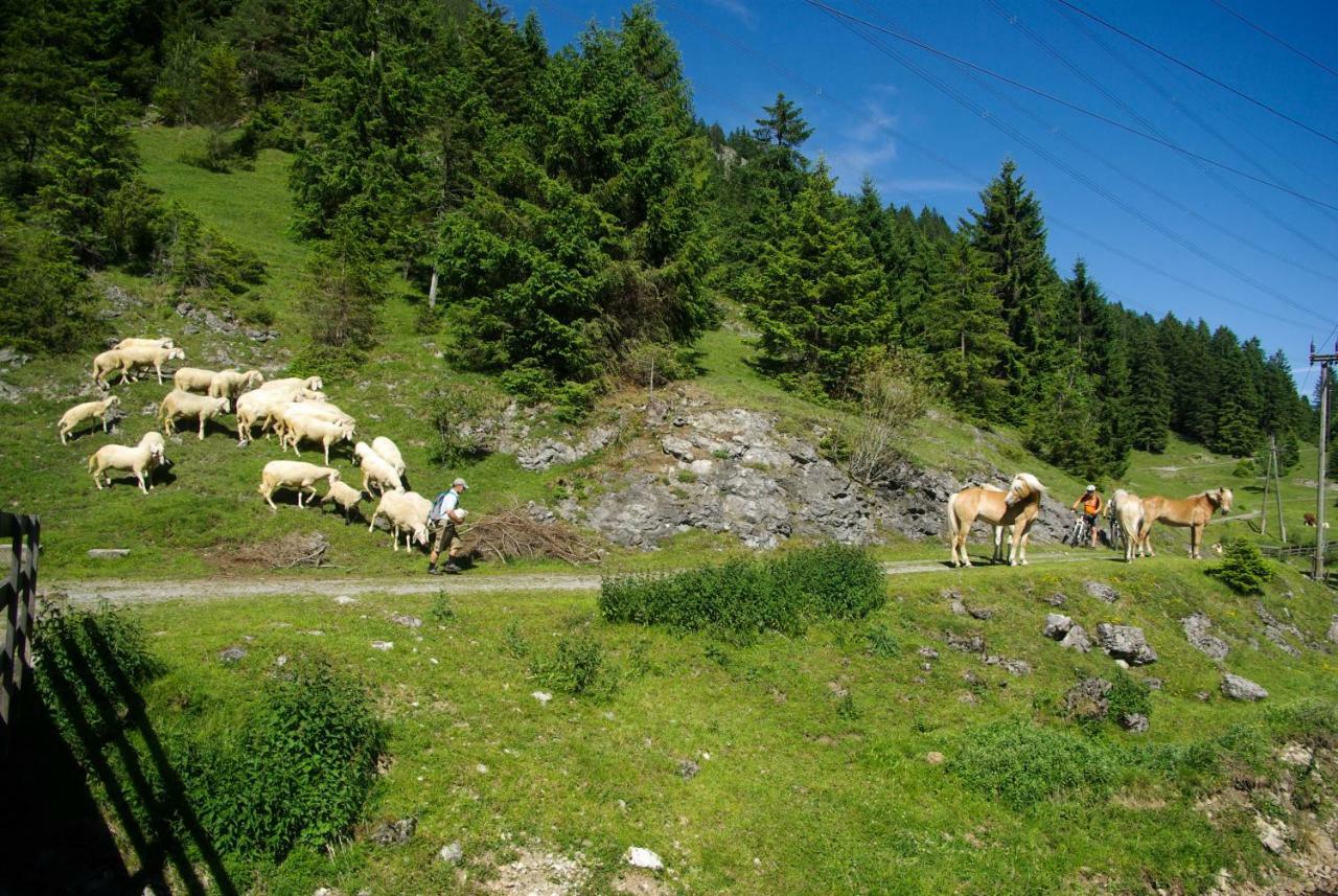 Haus Kohlberghof Hotel Bichlbach Kültér fotó